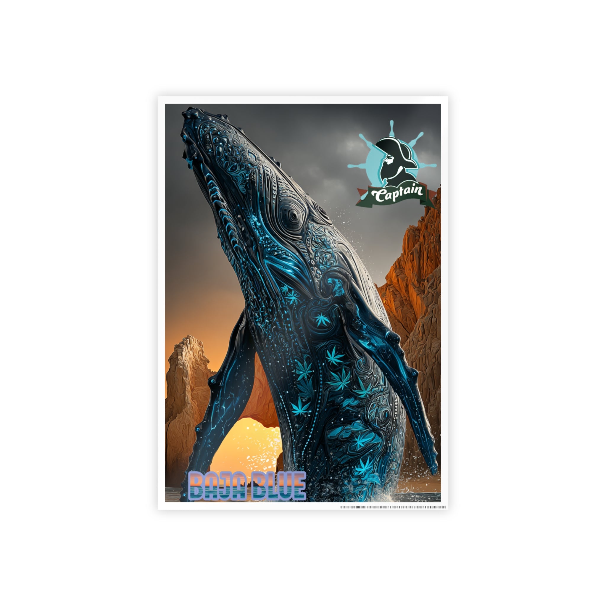 Baja Blue - Poster
