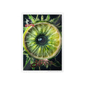 Lime Optix - Poster