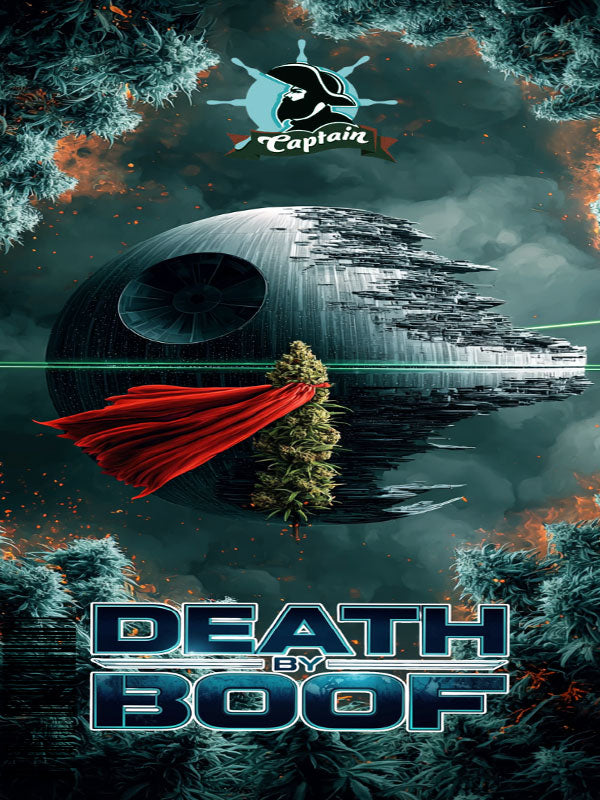 Death By Boof Poster 24x36